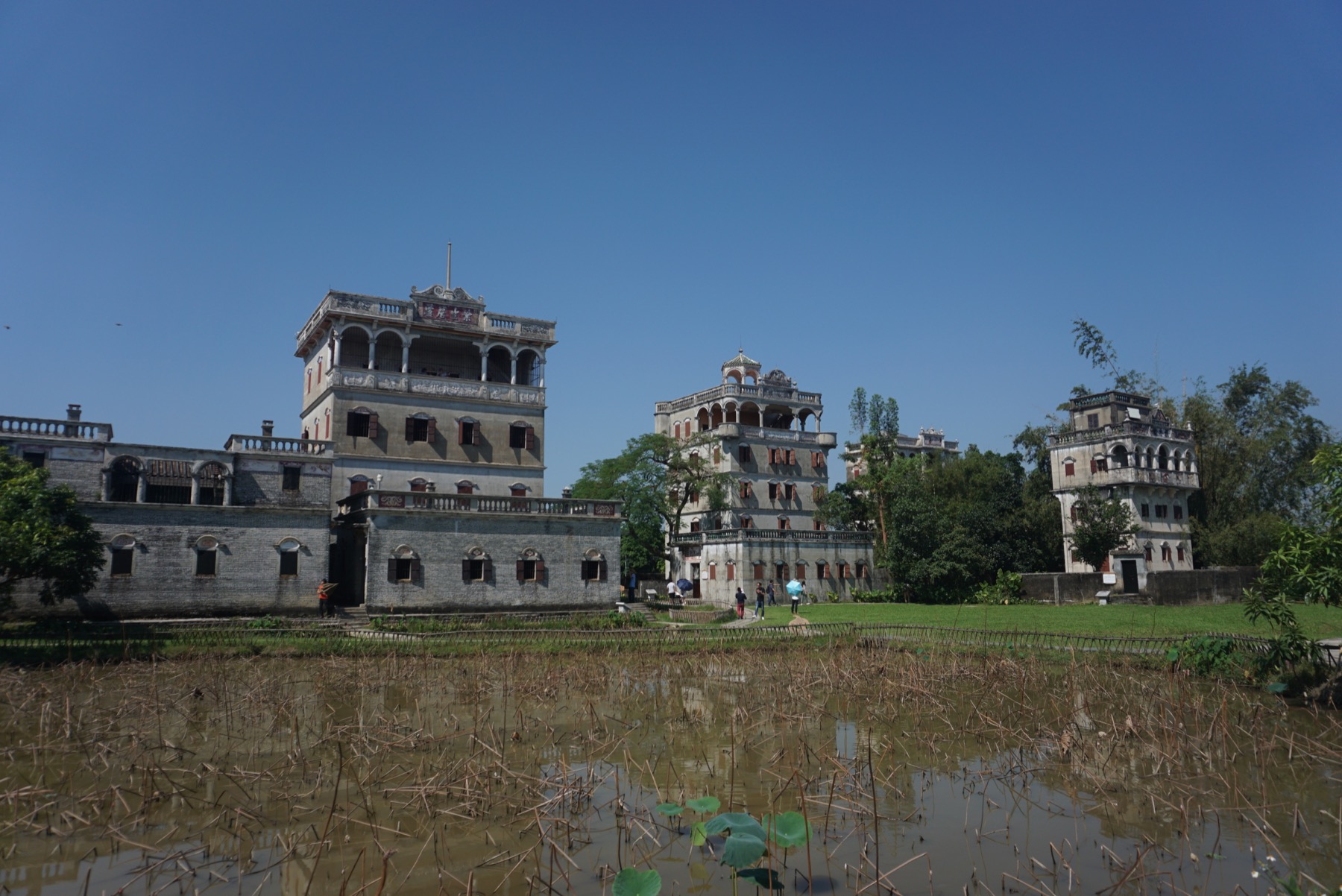 Several Kaiping diaolou rise from the green fields of Zili Village.