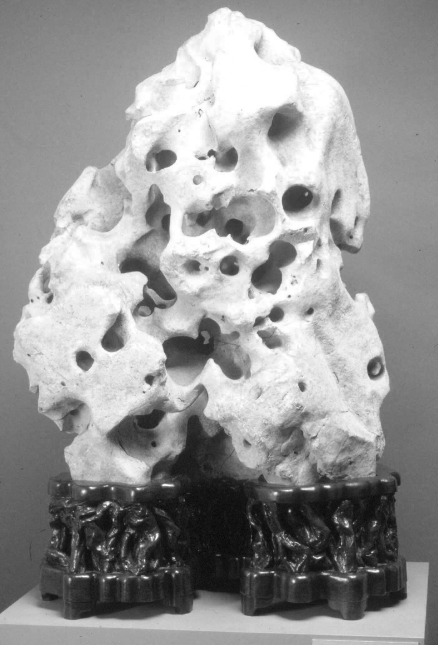Tall Taihu limestone whose cavities create the profile of a fantastic mountain.