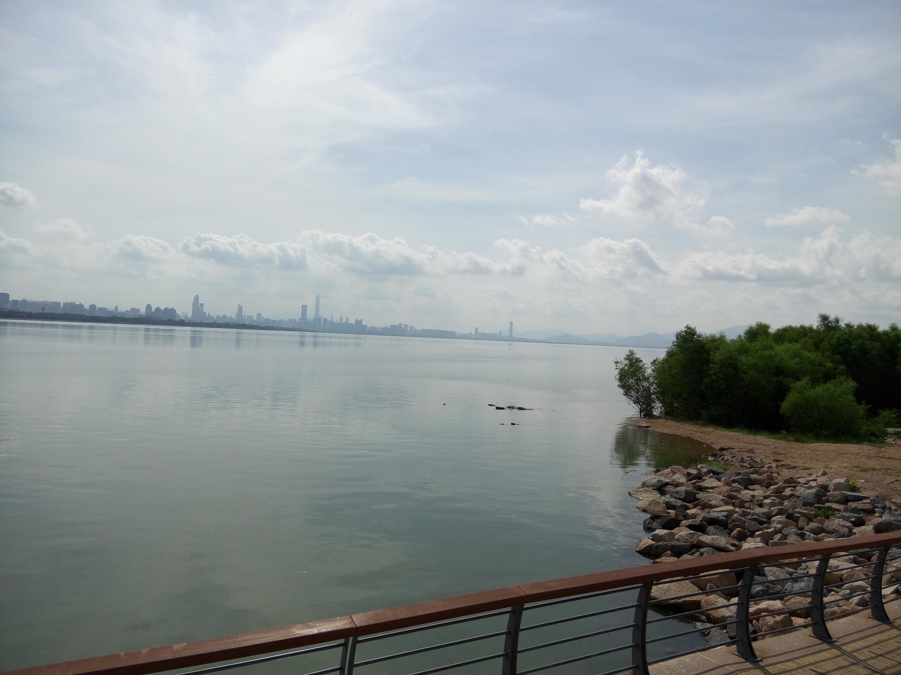 Shenzhen skyline seen across the water from Shenzhen Bay Park
