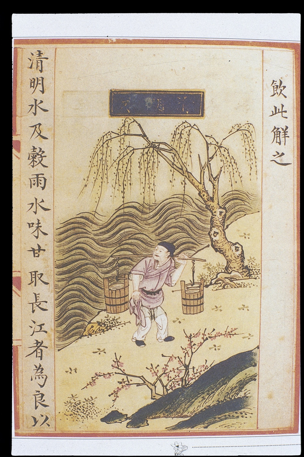 A Ming-period materia dietetica illustrates water gathered at Qingming, one of the solar terms.