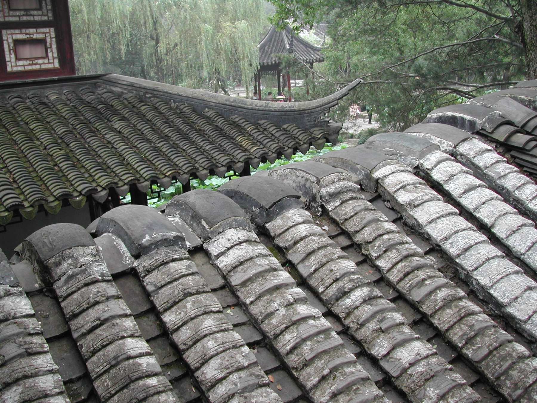 Architecture and vegetation form a carefully staged garden view in Suzhou.