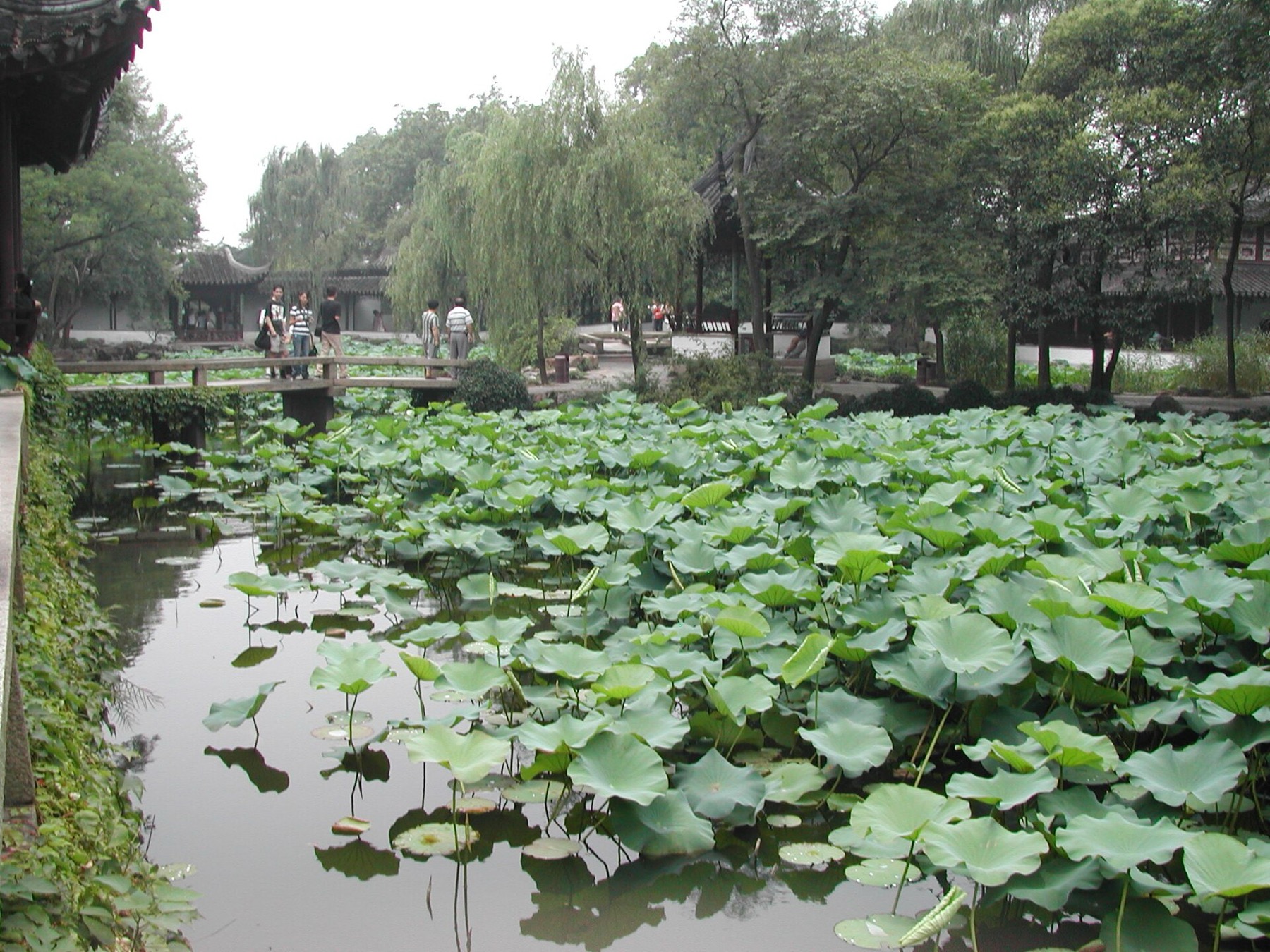 A Suzhou garden prospect layers built forms, rockwork, water and foliage.